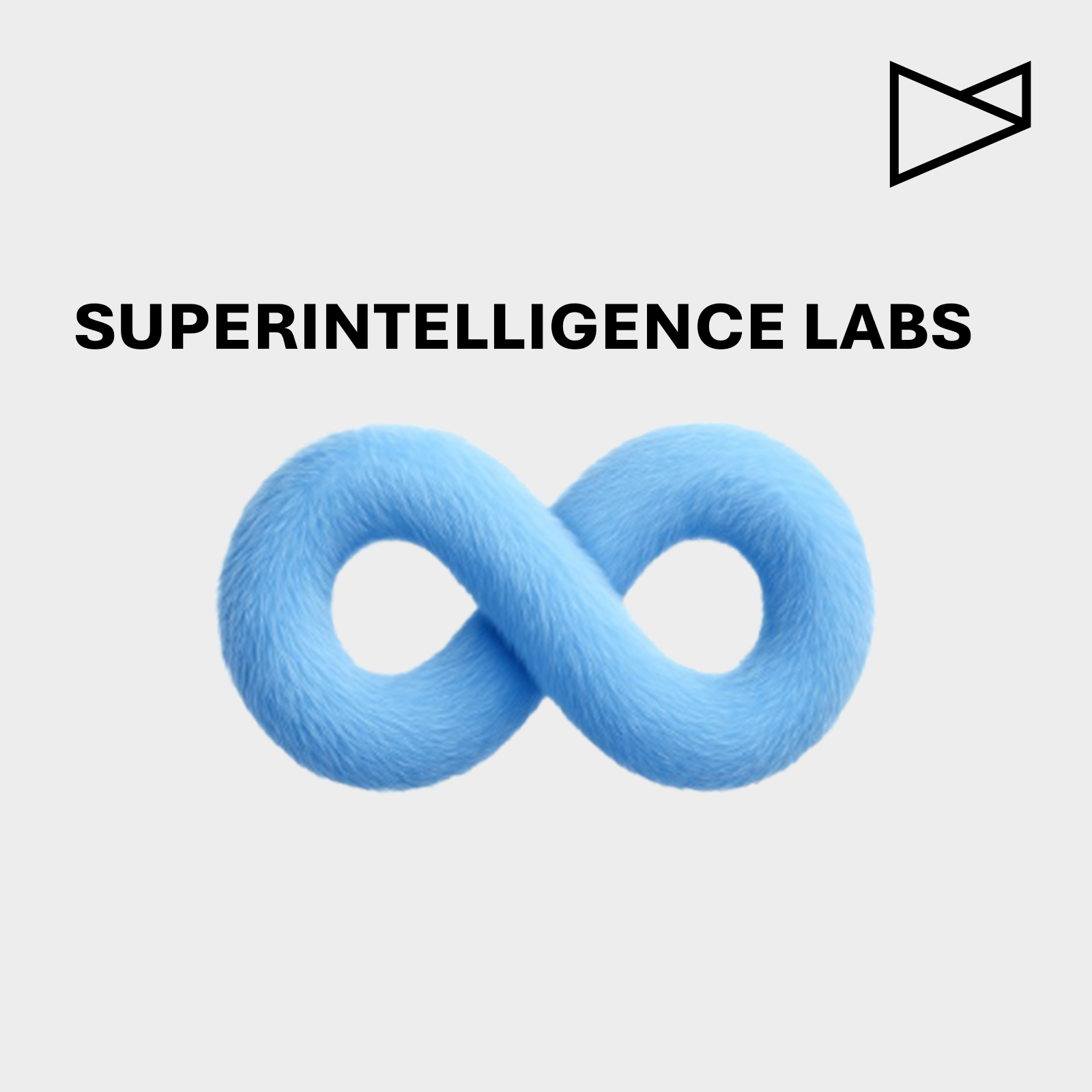 Logo with the words “SUPERINTELLIGENCE LABS” above a blue, furry infinity symbol on a white background. The stylized DAVIES MEYER logo appears in the top right corner.
